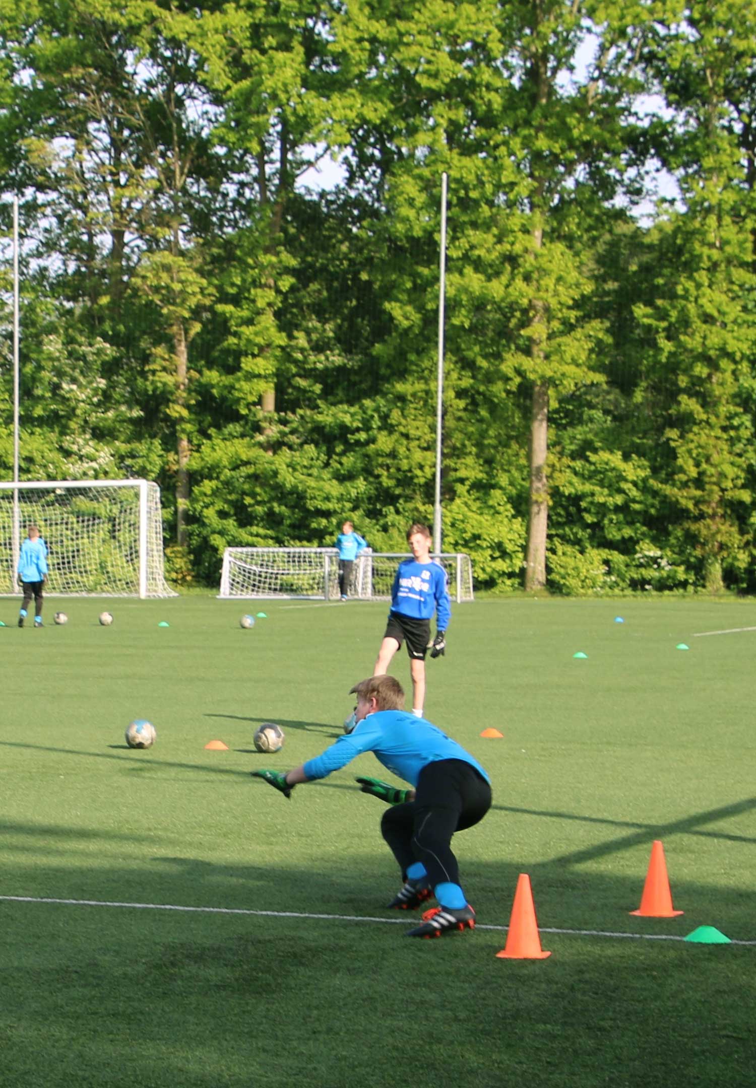 Najaars trainingen 2024. Geef je nu op!